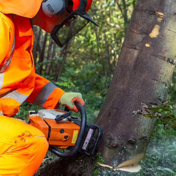 Bluestone Tree Services