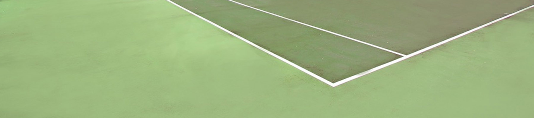 Bluestone - Professional Tree & Arb Services in Lincolnshire